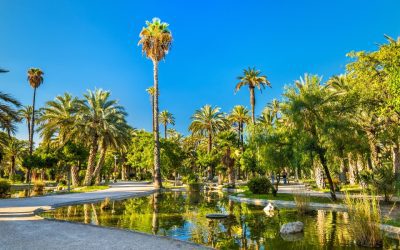 THE MOST EXCLUSIVE AREAS OF ELCHE TO LIVE WITH STYLE AND COMFORT