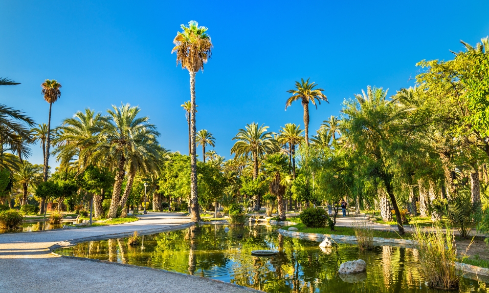 THE MOST EXCLUSIVE AREAS OF ELCHE TO LIVE WITH STYLE AND COMFORT