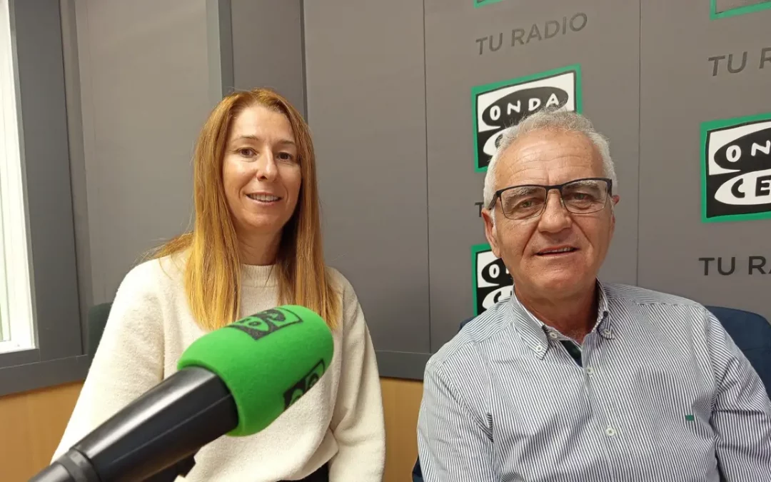 inmourbana elche, alenda y bonalba